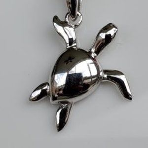 Turtle necklace